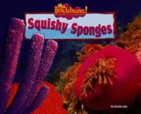 Squishy sponges