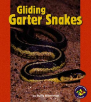 Gliding_garter_snakes