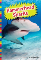 Hammerhead_sharks
