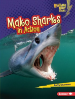 Mako_sharks_in_action