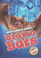 Brown_bats