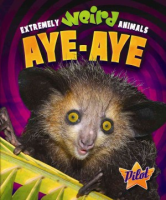 Aye-aye