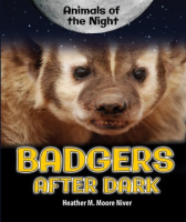 Badgers_after_dark