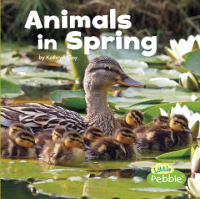 Animals_in_spring