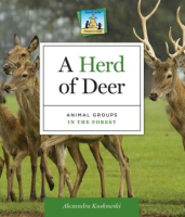 A_herd_of_deer