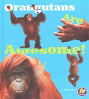 Orangutans_are_awesome_