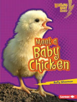 Meet_a_baby_chicken