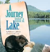 A_journey_into_a_lake