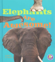 Elephants_are_awesome_