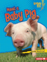 Meet_a_baby_pig
