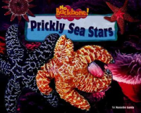 Prickly_sea_stars