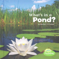 What_s_in_a_pond_