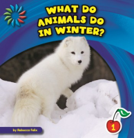What_do_animals_do_in_winter_