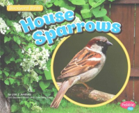 House_sparrows