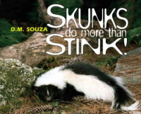 Skunks_do_more_than_stink_
